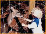 feed animals