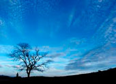 O que significa Cielo